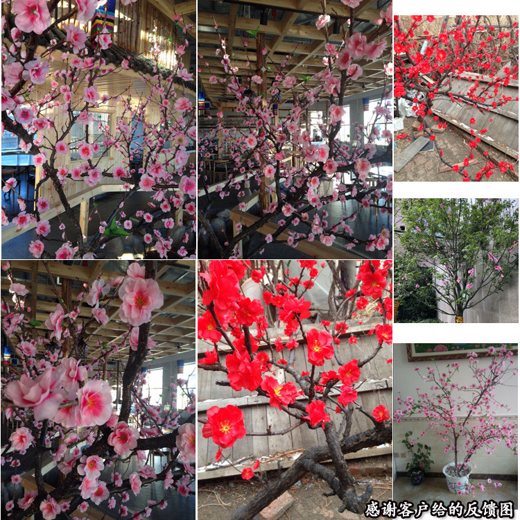 O1CN01SFkBot1T1yXSCSbJb_!!7768