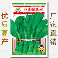 四季甜菜心种子 约5000粒 四九菜心种子广东菜苔种籽耐热种子批发