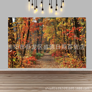 �羳�＾�������~ɽ·���ՙM���Sɫ���~�zӰ�ﱳ���������b���