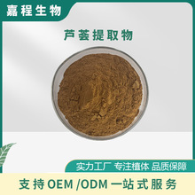 芦荟提取物芦荟水溶粉芦荟喷干粉芦荟粉厂家现货支持拿样检测