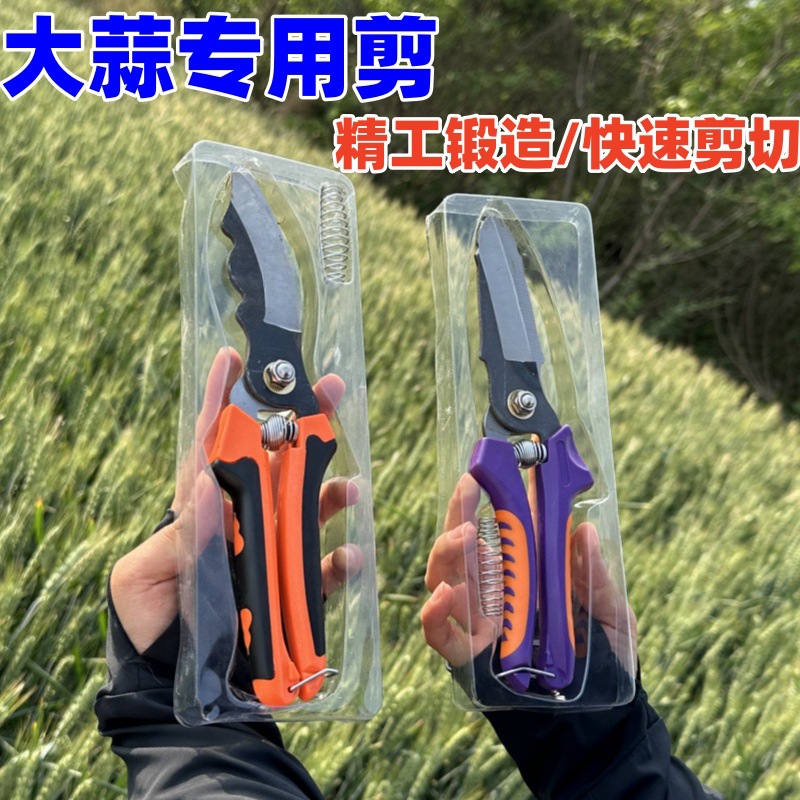 新款剪蒜神器平头剪弯头剪大蒜专用剪刀剪蒜蒜须蒜杆剪刀