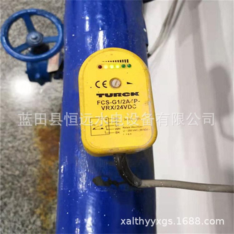 流量开关FCS11-YT-T11示流器