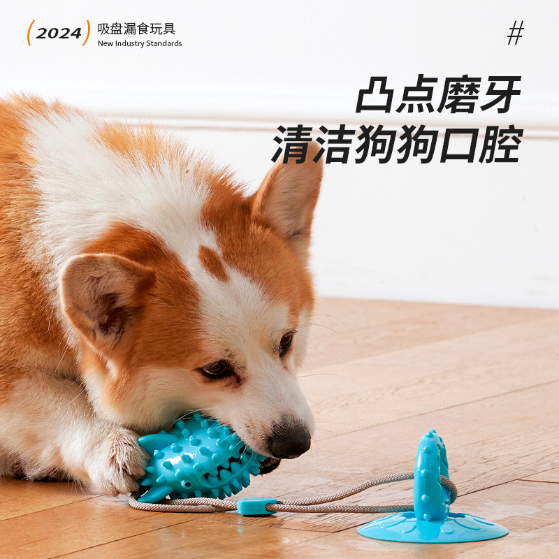 Mascota lechón juguete fuerte resistencia a la succión resistente a la fuga de alimentos bola perro aliviando tapada dibujos animados diente limpieza mordedura juguete al por mayor