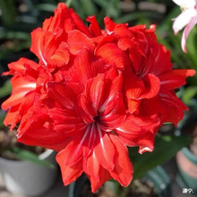 ���m�ذ���피t���Ի���ֲ��͏d�Gֲ���ܴ�ȫ���B��S�����l���l