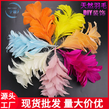 �S��ֱ���¿ɫ�Zë�^��b�Y���b������̨������ë�l��^��