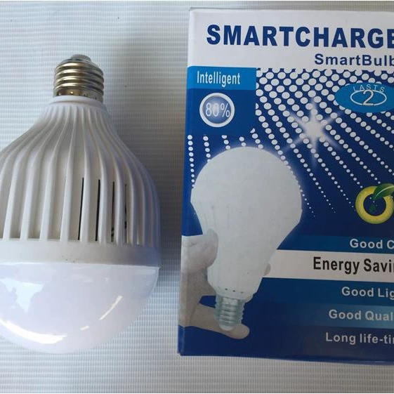 Emergency light, LED energy-saving bulb, travel garden lights, 17 years