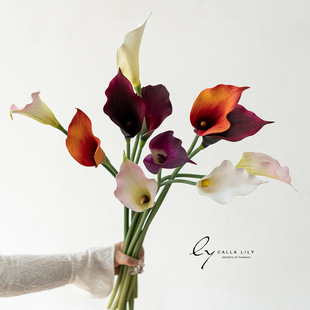 �ߙn�ָ�PU��̖�R��ɏ���滨���ٻ��҃ȿ͏d�����k�����[���b�