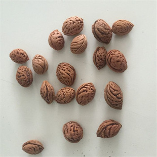 �²�ë�ҷN���Ҙ�ë�Һ˴������Һ��Ҙ�˘�N�Ӱ��]