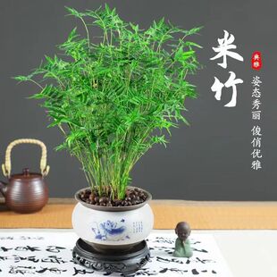 �����辰ֲ���҃�΢�^�辰�Pβ���^�����^�p����ͥԺС����������