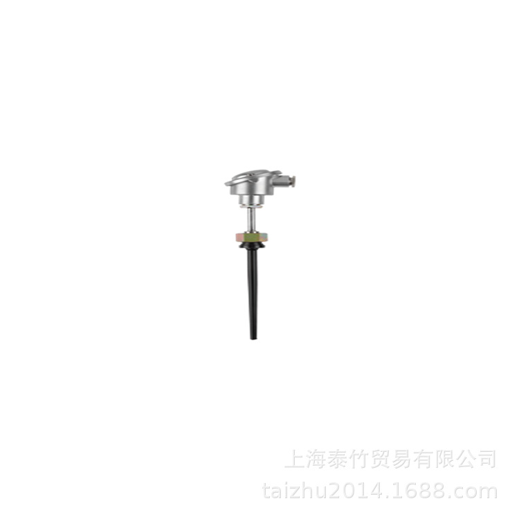 JUMO护套安装插入式热量表温度传感器带连接电缆(902435)