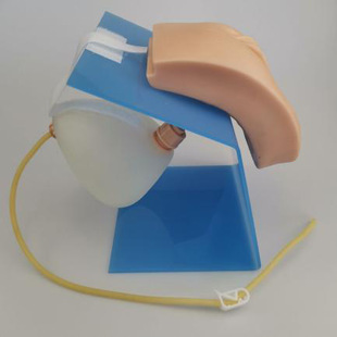 Advanced dressing female urinary model H28F