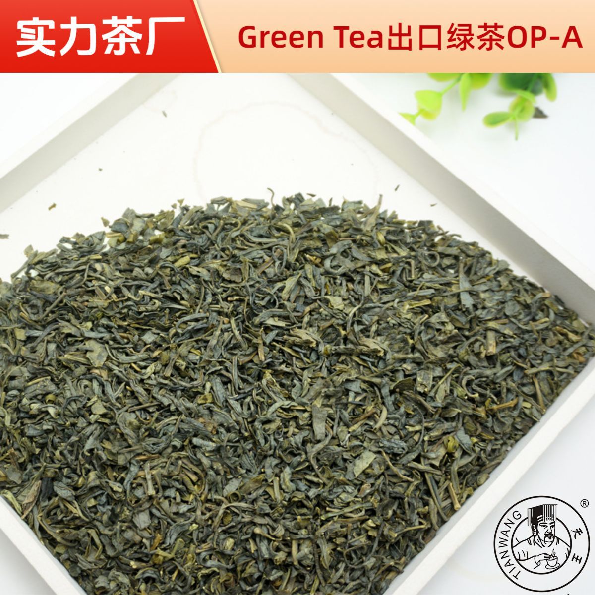 Tea factory exports green tea Green tea leader OP low price tea…