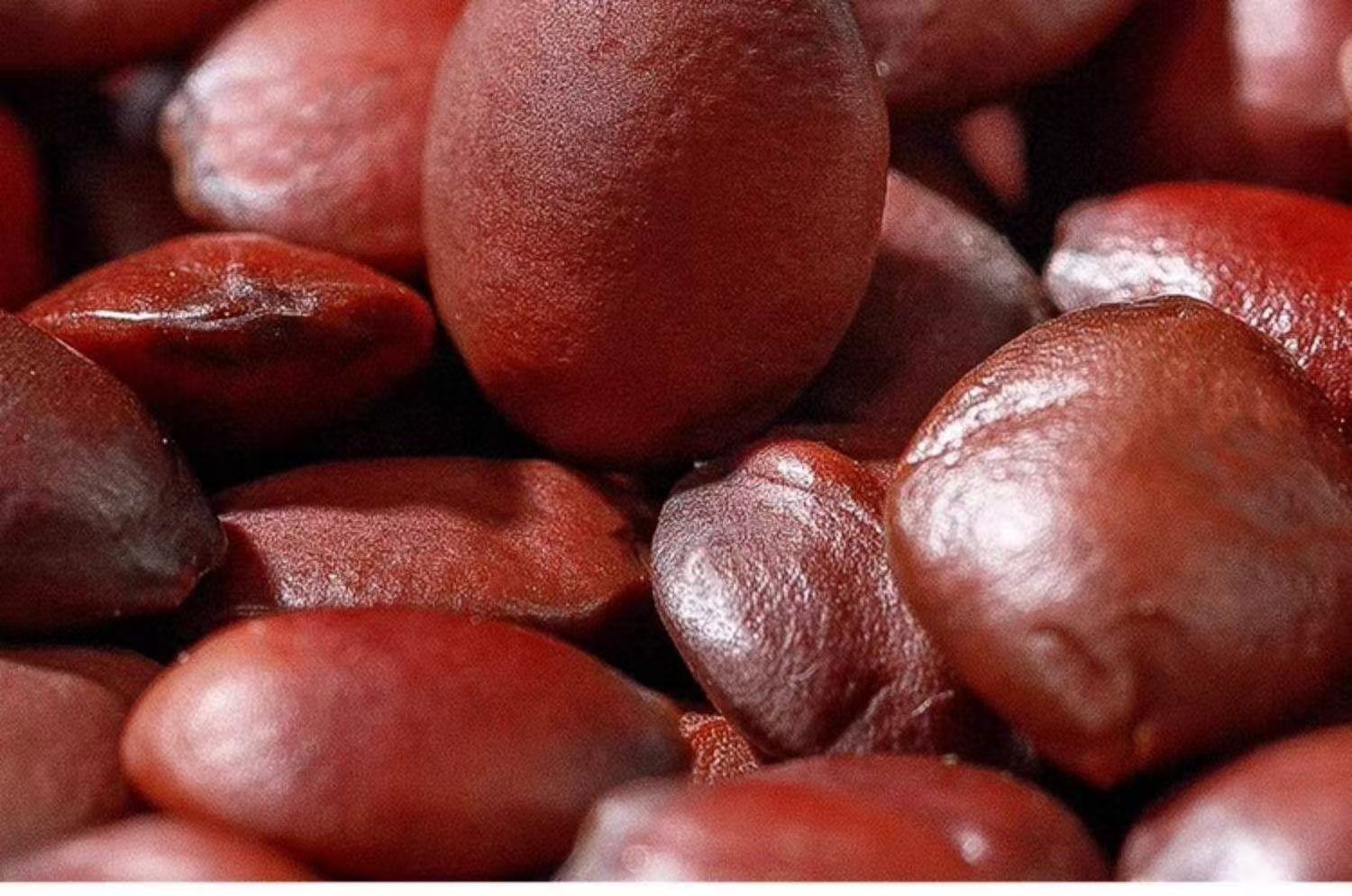 Sour Jujube Seed Powder Suan Zao Ren 250g Bottle Roasted Low-Temperature Milled Herbal Powder quality and texture