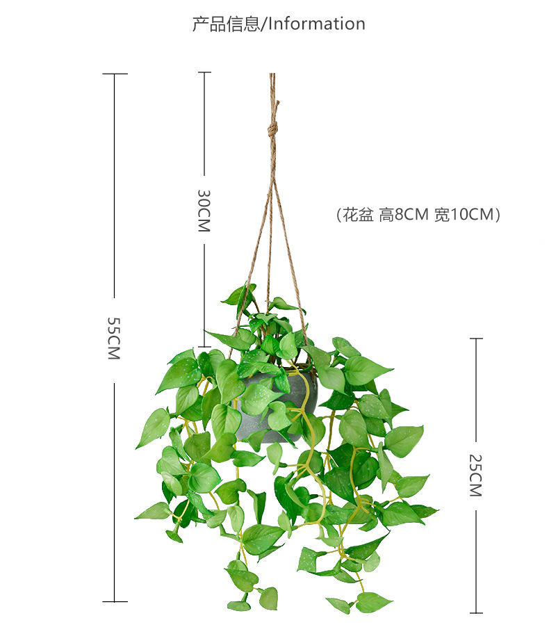 红掌叶吊篮-米黄_05.jpg