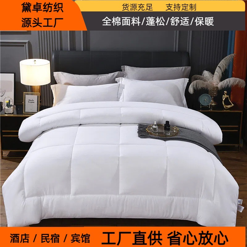 Factory Direct Supply Quilt Core, Spring and Autumn Quilt, Pure Cotton, All-Season, Winter Quilt, Warm Quilt, Feather Velvet Quilt, Super Soft