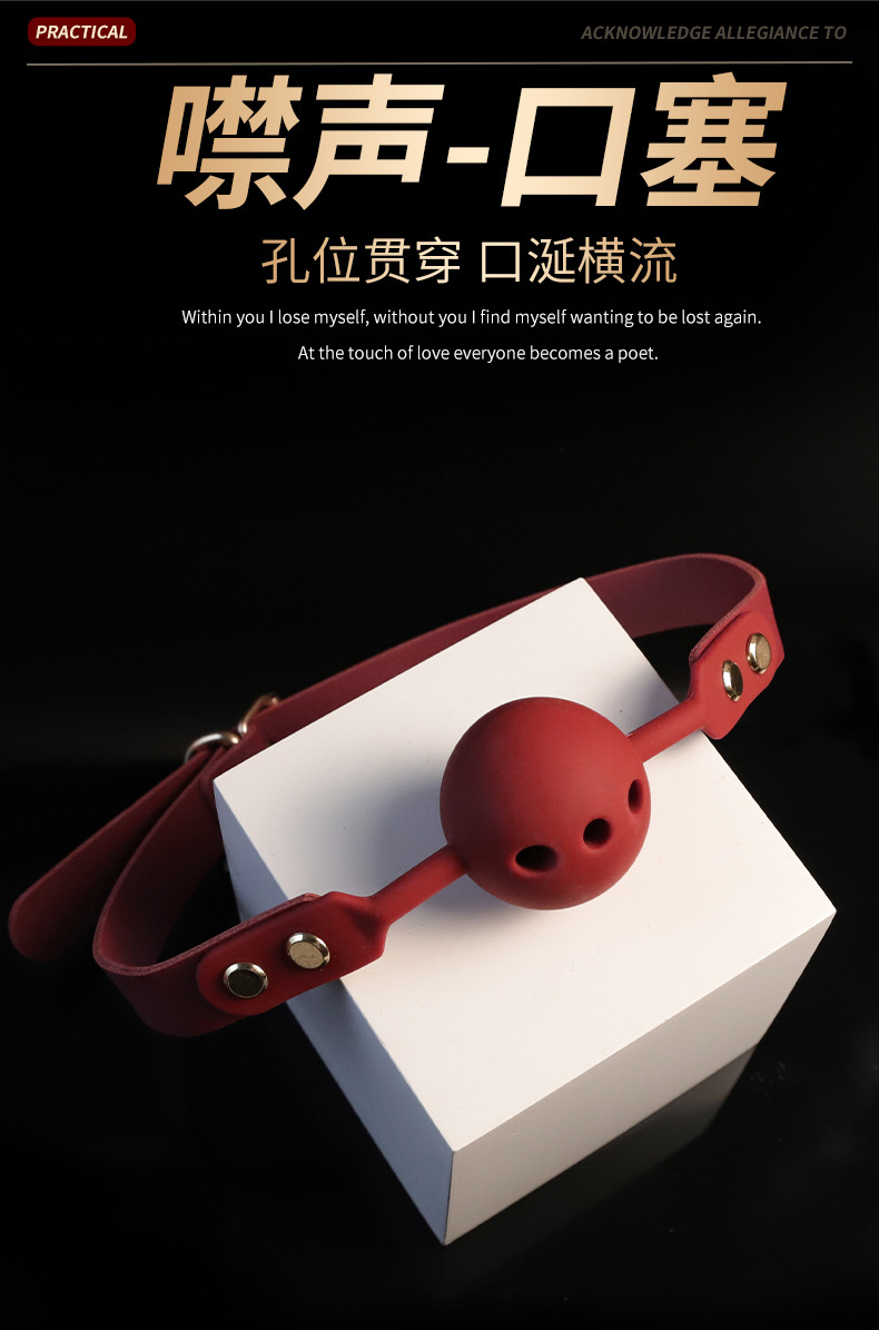 PU Leather Bondage Set with Hand and Foot Cuffs, Oral Ball, and Storage Bag — detail image 3