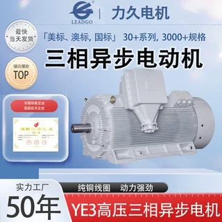 YE3高压三相异步电机185KW-3150KW连续工作制结构紧凑IP65防护