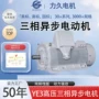 异步结构连续防护电机