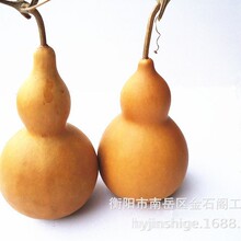 ���l�[�Ʒ���Ʒ�ƺ��J����J�߼s17-32����һ�����l