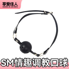 ��ۼ���SM��Ȥ�{�̿����������Ʒ�þߴ��Ϸ�Ȥ�Ϛg��������ڼ�