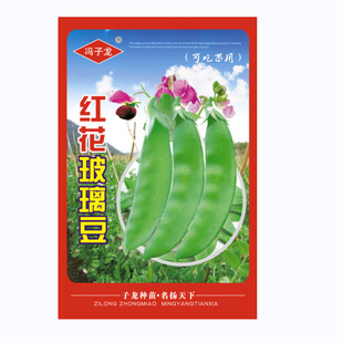 �����㶹�������N���ļ���ͥԺ�̨�����߲˷N�����r�ۿڿڴ�