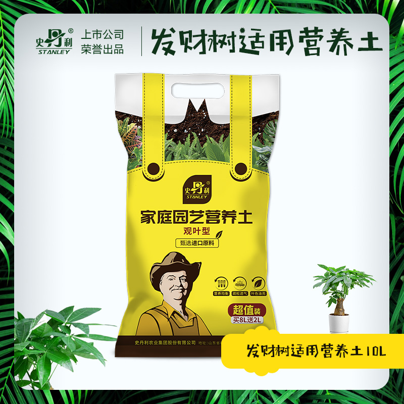 머니트리는 영양토양 10L에 적합합니다.