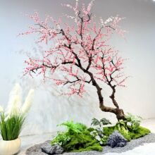 �����һ�����Ҙ����ֲ��ѻ������÷�����S��һ��´��b�