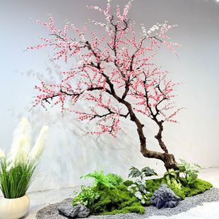�����һ�����Ҙ����ֲ��ѻ������÷�����S��һ��´��b�