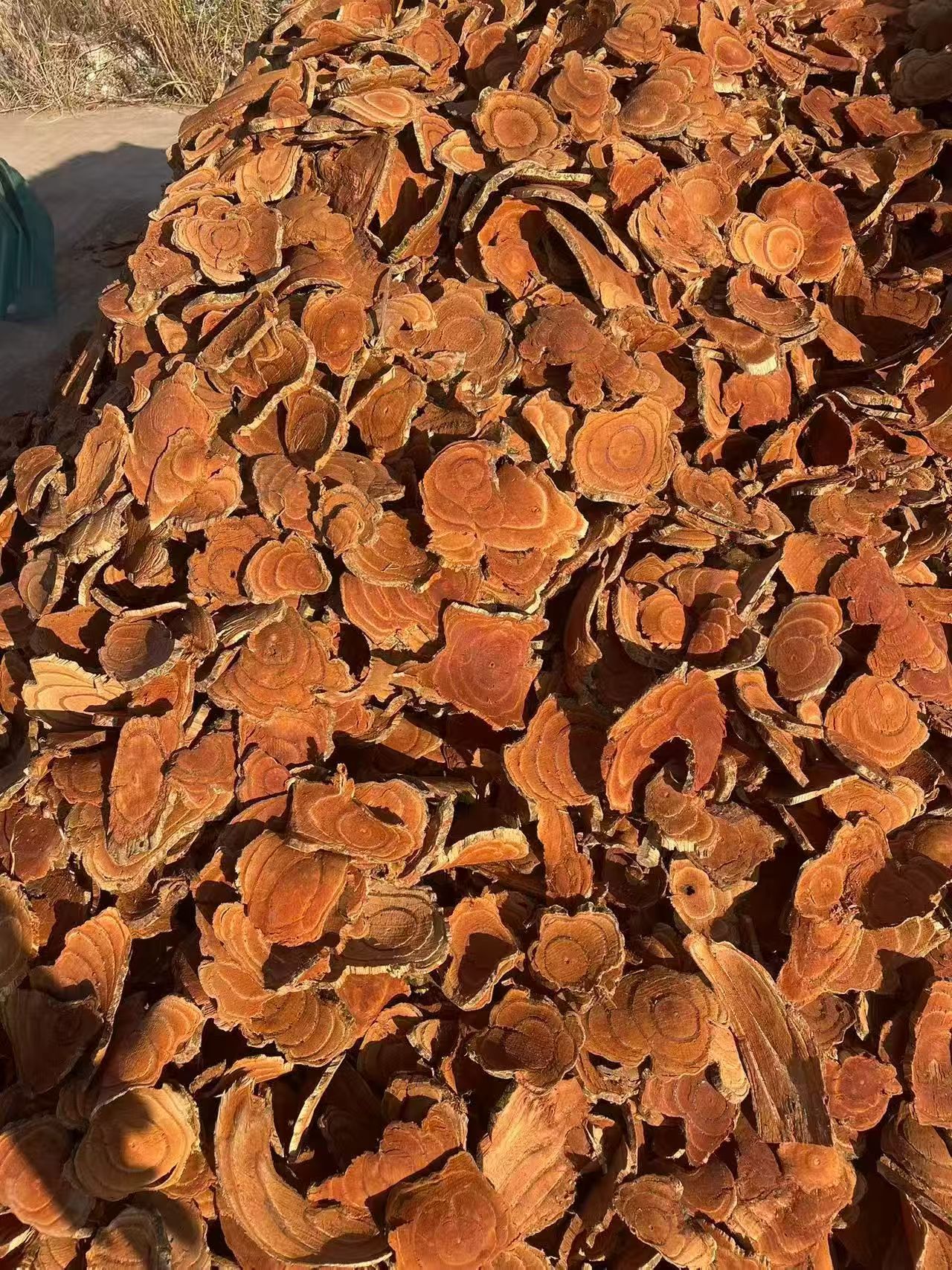 Ji Xue Teng Dried Spatholobus Suberectus Vine Slices Chinese Herb for Decoction Soup and Wine Soaking overview