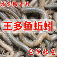 �������D�S�X��������򾴹��~�D�������w��������������