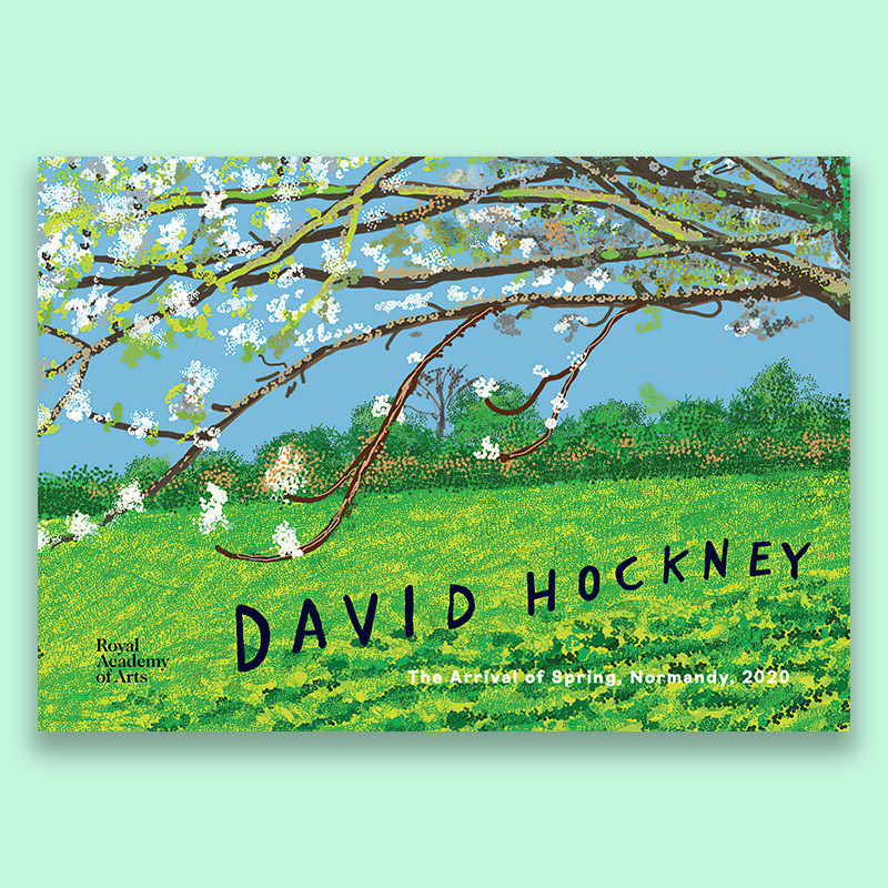 David Hockney Norman's Spring Green Decorative Poster Niche Literary Wall Bedroom Painting