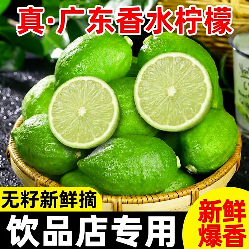 Guangdong Seedless Green Lemons Are a Seasonal Fresh Fruit, First-Grade Thin-Skinned Small Limes Specifically for Milk Tea Shops