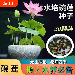 ˮɏɻN_ˮ໨ֲļ_̨˯ɏN