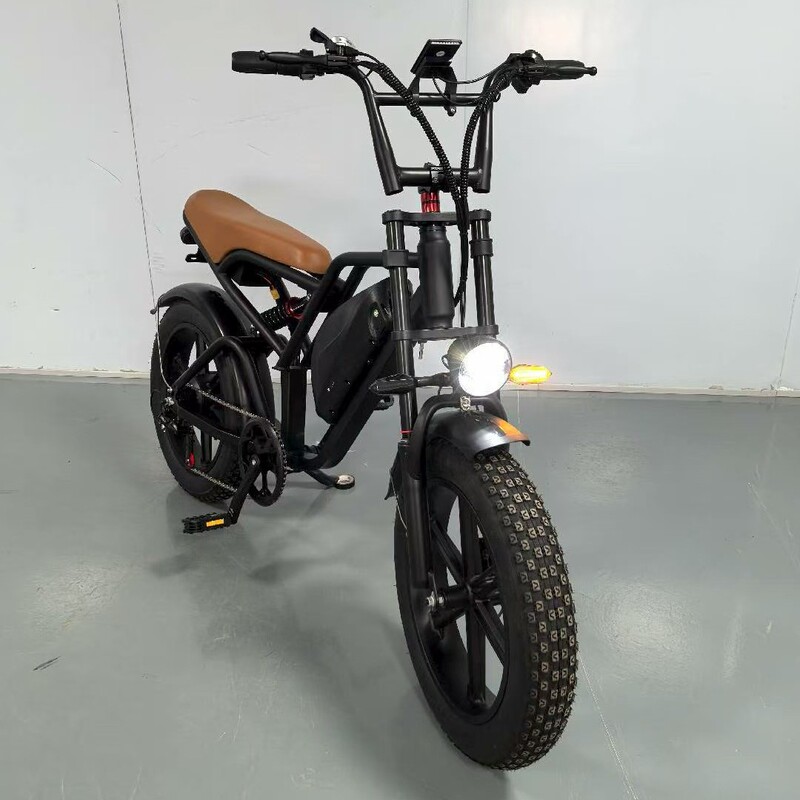 Direct Shipping from the Source Factory 20inch Fat Tire All-Terrain Snow and Beach Integrated Wheel Electric Bicycle for Export