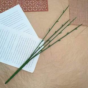 4�^20Ŀ40cm����ֲ�ﻨ֦ĵ��֦5��õ�����տ����U���滨�U�߷���