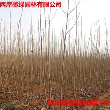 ���Ǥ��l�ח������o����Ǥ����ח������l�����G������