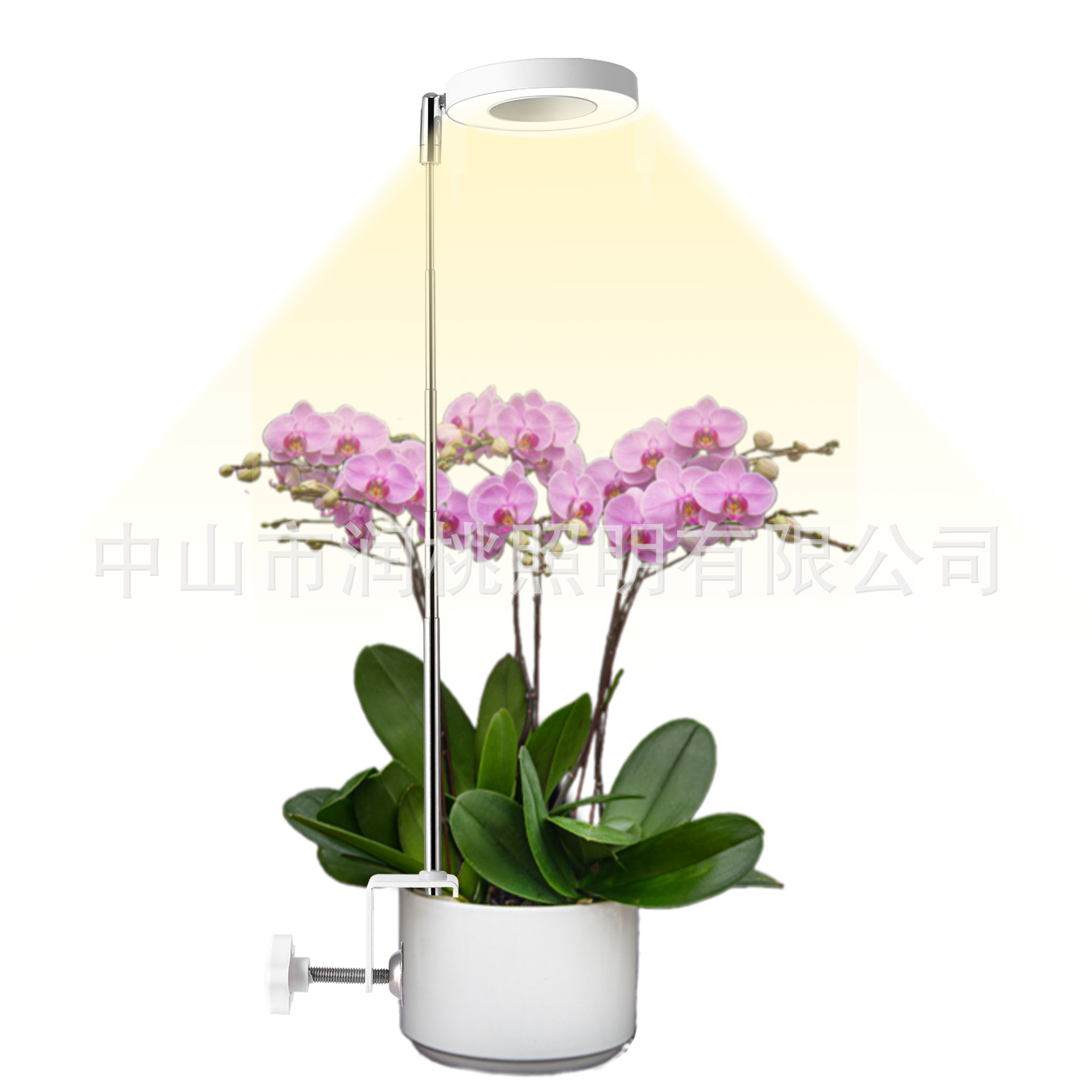 Plant growth light angel ring retractable I-shaped clip flower pot…