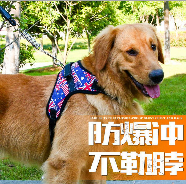 Correa para mascotas Cadena de perro K7 a prueba de explosiones cuerda para perros correa para el pecho de hueso suministros para mascotas ventas directas de fábrica