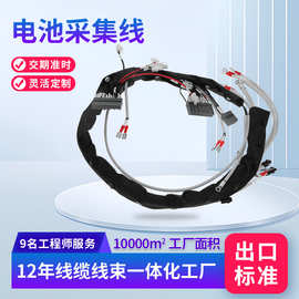 电动汽车电动工具无人机线束 温度传感器线束 BMS电池温度采集线