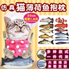 Cat Toys Pets Mint toys Simulatory Cat Fish Gyes, Cat Cat Stick Pillow Cat Products Plush Toys