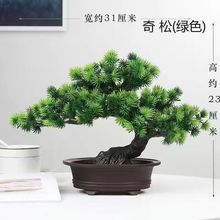 ����Gֲ�Ծƙ��[���٘�ӭ���������辰�ɘ��҃ȾGɫֲ���b��