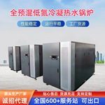 酒店取暖供暖700kw全预混低氮冷凝燃气热水锅炉 远大太康锅炉
