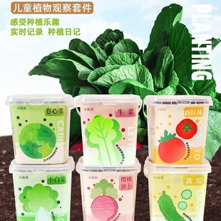 Small Flower Farmers Children's Plant Observation Students Planting Small Potted Plants Desktop Ornaments Kindergarten Students Gift Manufacturers