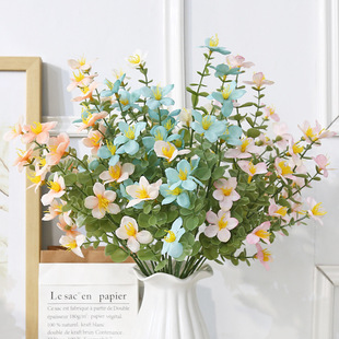 �����ͮ����m���ٻ������Ҿ��Ʒ��Y��c���l�Ĕz���߈�������