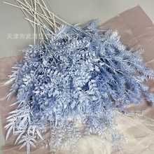 ��c��������{ɫϵ��픻�Y�û��� �Ҿ�·��õ�廨��÷�[��ܛ�b