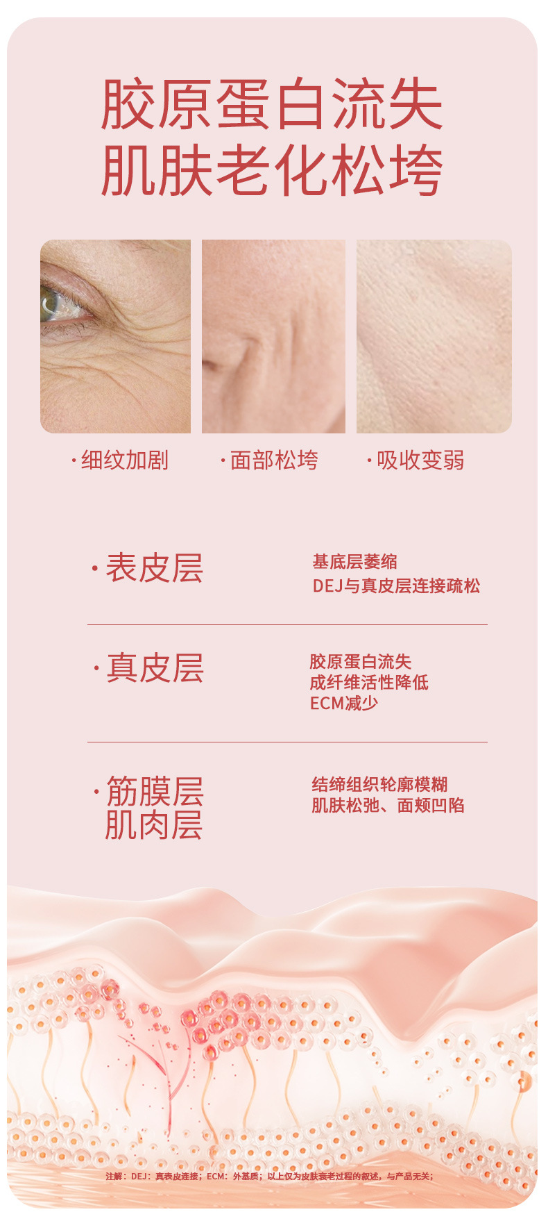 新肌精华-详情2024_03.jpg