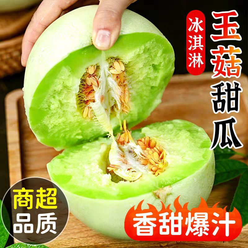 正宗山东冰淇淋玉菇甜瓜新鲜当季蜜瓜香甜S级脆甜头茬玉菇甜瓜
