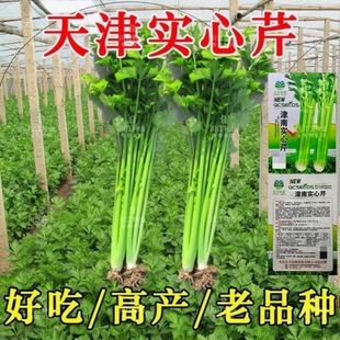 �����Ʒ�N���،����۷N���w�S��ζ�����ļ��r�Ҵ����＾�۲˷N��