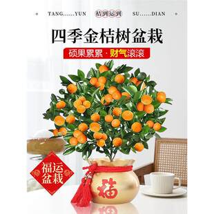 �ļ���ۘ����Կ�ʳ�Î���������ۘ����������͏d�҃Ȼ��ܾGֲ��