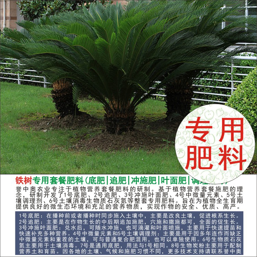 50�����а�������ר���л��ʸ��Ϸʵ׷�׷��Ҷ��ʳ�ʩ��ˮ��